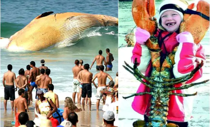 17 impresionantes fotos que son difíciles de creer