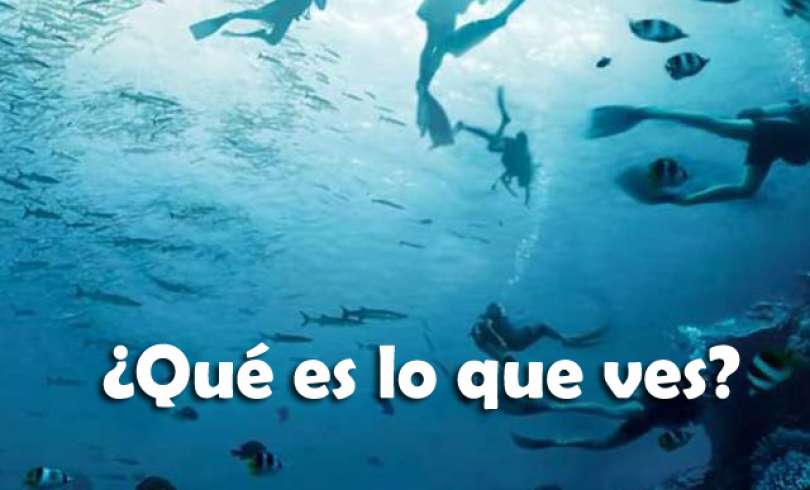 Test para evaluar tu percepción visual