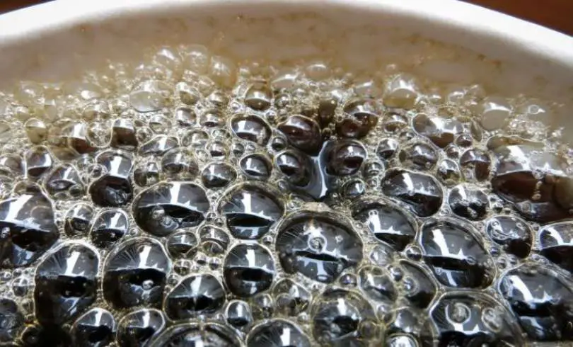 Beber café regularmente disminuye los riegos de morir