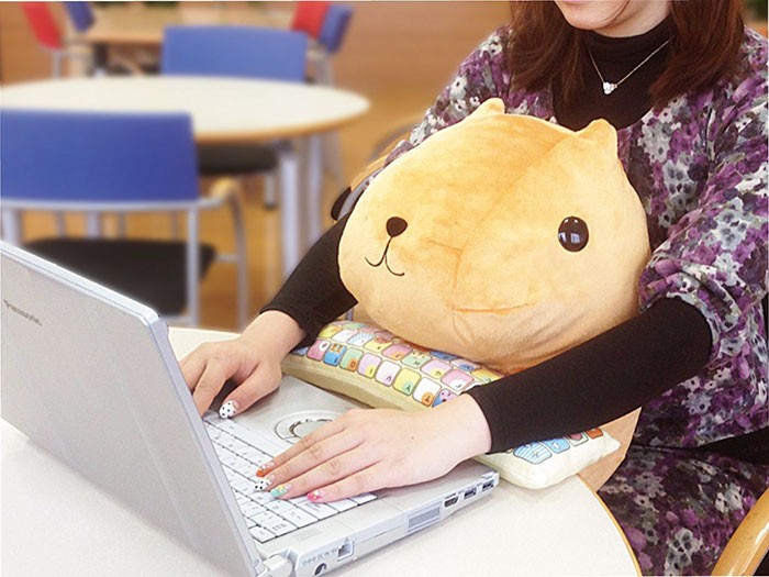 Accesorios para PC: Hermosos cojines para proteger sus muñecas