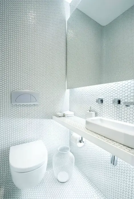 El baño de color blanco como la nieve en un estilo minimalista.