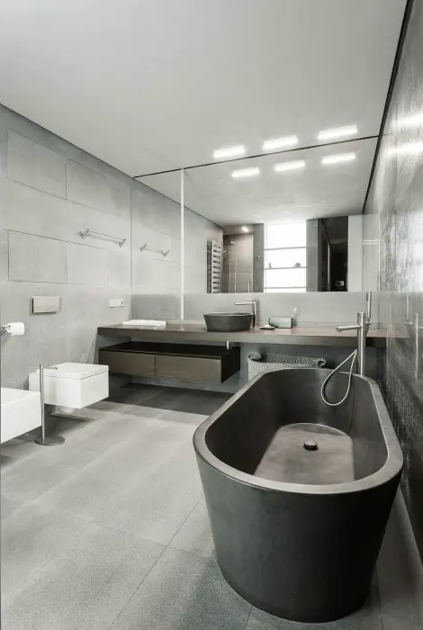 Cuarto de baño en color gris.