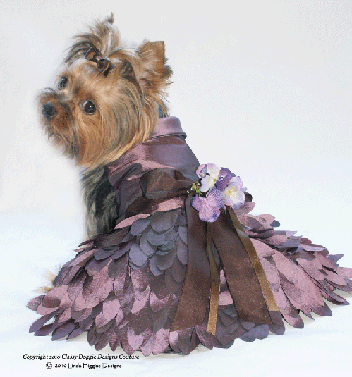High Fashions - Dog Dresses, Pet Apparel, Designer Dresses