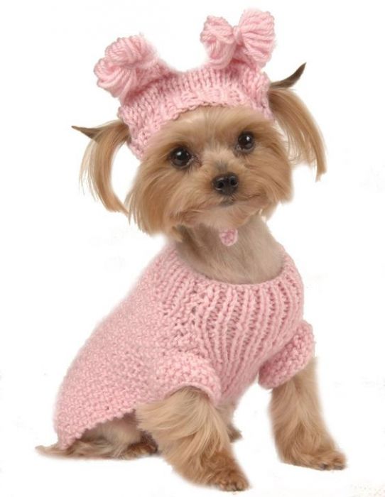 MAX'S CLOSET PET DOG CLOTHING PINK CABLE SWEATER w/ HAT SMALL DOG NEW XS-L: 