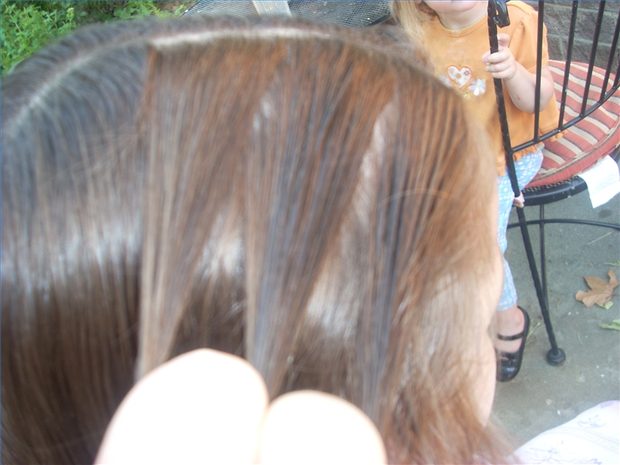 Cómo hacer una trenza holandesa