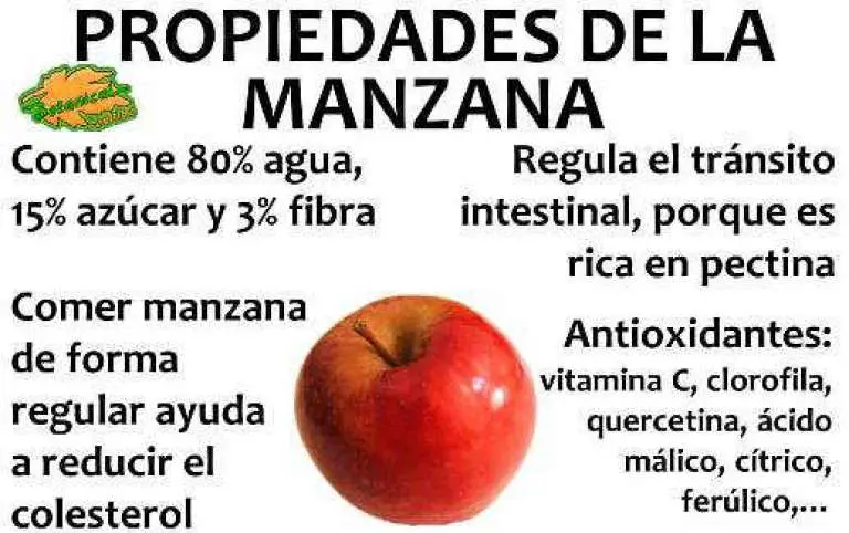 Beneficios De La Manzana Que Seguro No Sabías 3732