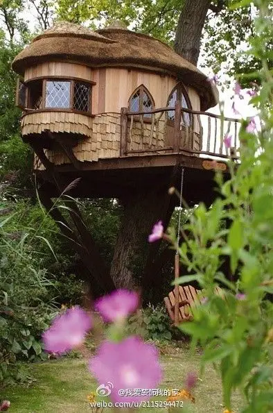 cute little tree house: 