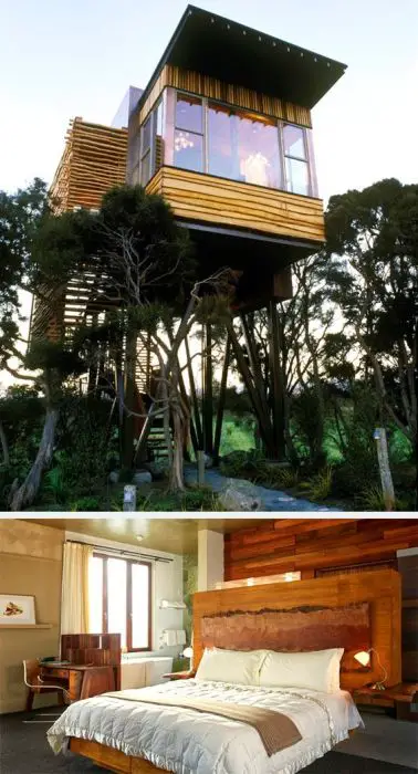 Hapuku Lodge and Tree Houses. Guests can choose to stay in two level family tree houses or a stand alone Olive suite apartment. Located on New Zealand’s south island, the lodge is near the top site for spotting whales and dolphins.: 