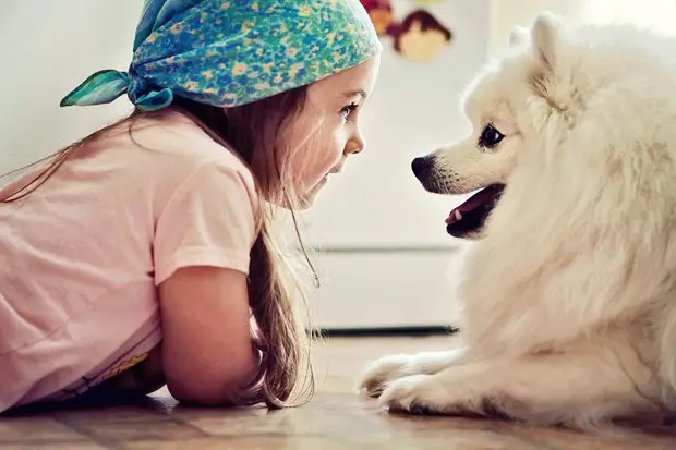 Young girl and dog staring at each other