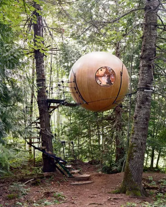 Tree house: 