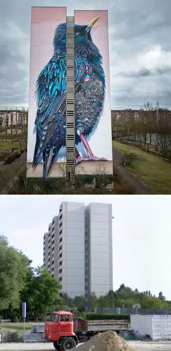 Giant Starling Mural In Berlin