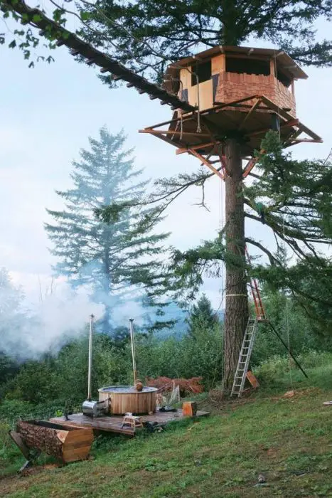 Tree House: 
