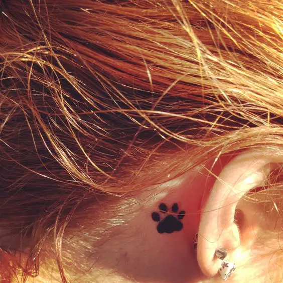 Your Tattoos » Paws Tattoo Behind Ear: 