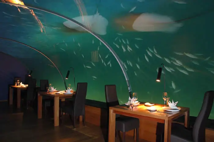 Ithaa - el restaurante en el Océano Índico. Ver por la noche.