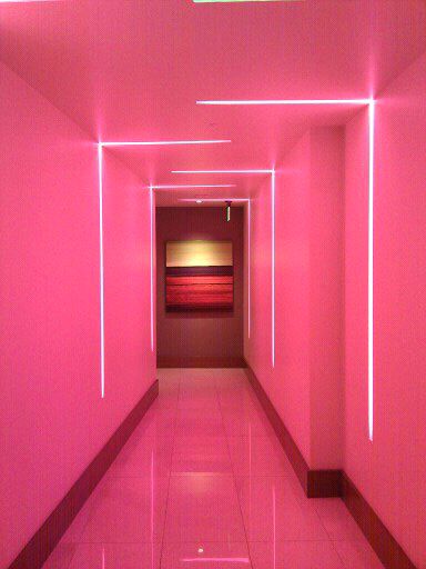 the hallway... - (pink)(painting) i love this pink color for my room!!! http://www.justleds.co.za: 