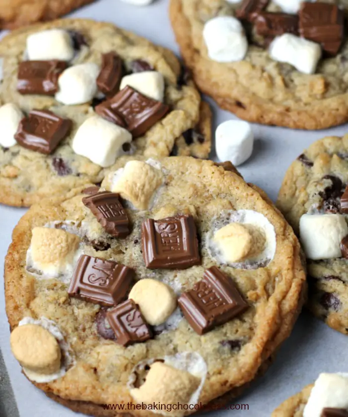 S'more Chocolate Chip Gooey Bliss Cookies 