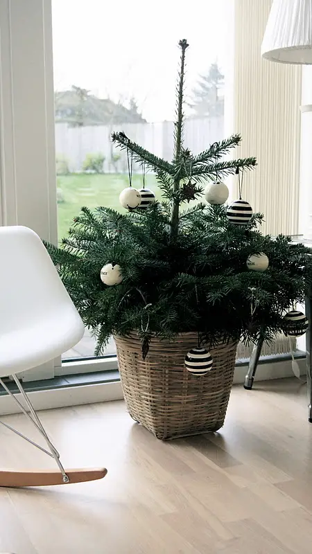 Hang ornaments on your house plants.