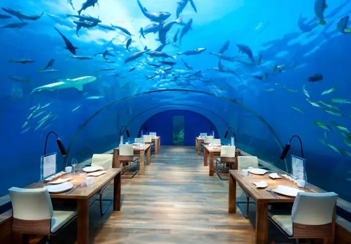 Ithaa - el restaurante bajo el agua.