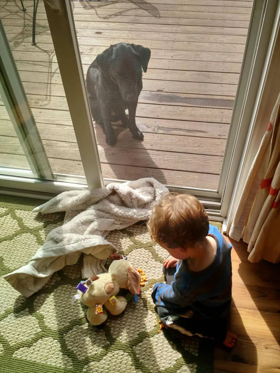 My son feeding his fake dog goldfish while his real dog sits outside, pissed.