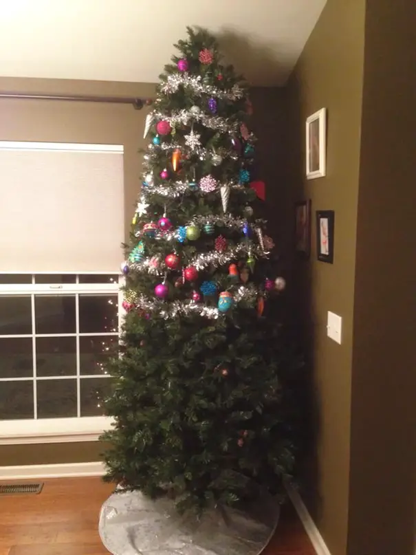 No, This Tree Isn't Half Done — It's Done