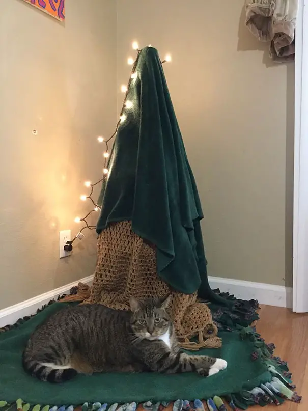 Our Cat Proof And Environmentally Conscious Christmas Tree. Turn A Tomato Cage Upside Down, Add A Blanket, And Laugh At The Situation