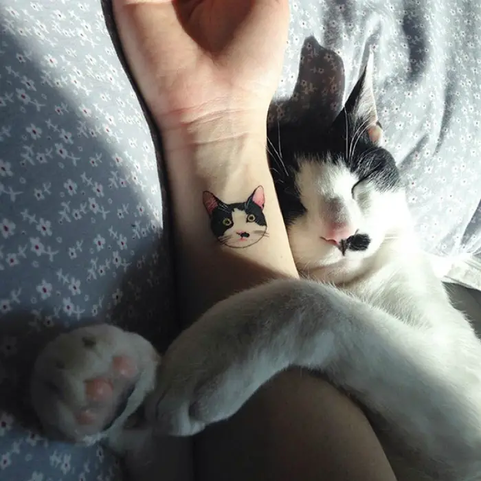 Mini Tatuajes con la imagen de un gato.