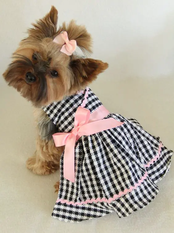 Pink Black Houndstooth Dress for Little Dogs Más: 