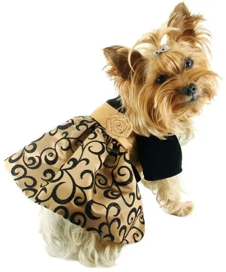 Dog Clothes -Cute Pet Dress, Doggie Dress, Doggy Dresses, Clothing, Fashion, Trendy, Unique, Holiday, Christmas Pet Dress: 