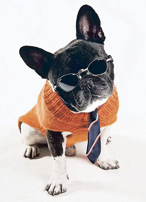 GQ!! We have frames to match your style and personality. Stop in and check out our selection. http://www.drrosenak.com/: 