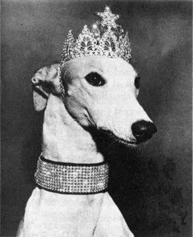 1957 Greyhound Bus, introduced it's goodwill ambassador Lady Greyhound.: 