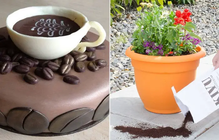 15 maneras inusuales de usar café molido que seguro no sabías