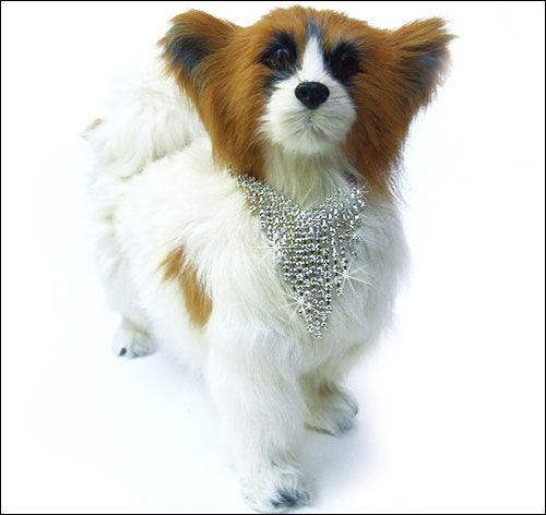 Dog Jewelry for Dogs: 
