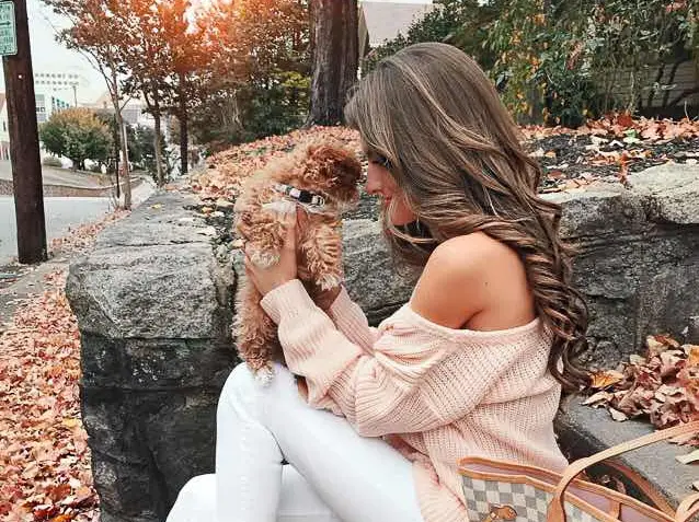 Cómo cuidar a tu mascota