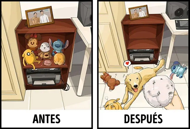 antes y después de tener un perro