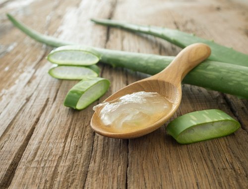 Resultado de imagen para chica gel de aloe mano