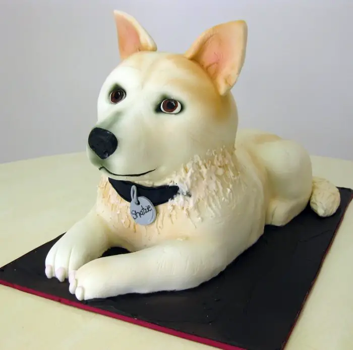 Negociar Nublado Simpático Tortas de Perros • 30 increíbles pasteles • Aprende cómo hacerlos