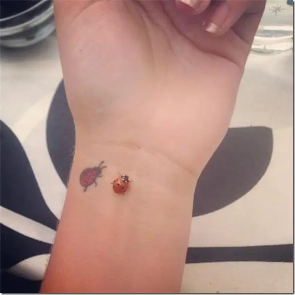 Resultado de imagen para tatuajes pequeños de Mariquita