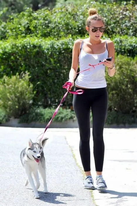 Resultado de imagen para walking with dog exercise tumblr
