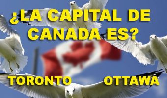 Test sobre capitales del mundo: Sólo 1 de cada 50 personas las acierta