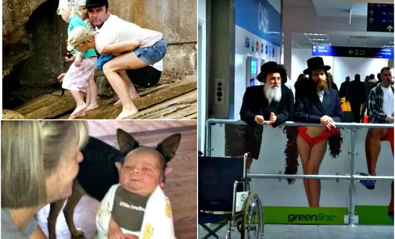 17 fotos tomadas en el momento adecuado que te harán reír un montón