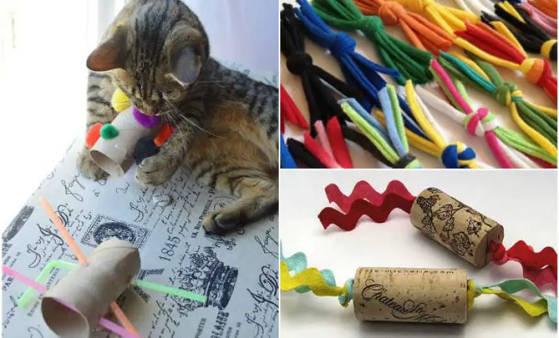 Juguetes Para Gatos Casa 13 En Hechos PXkZuOi
