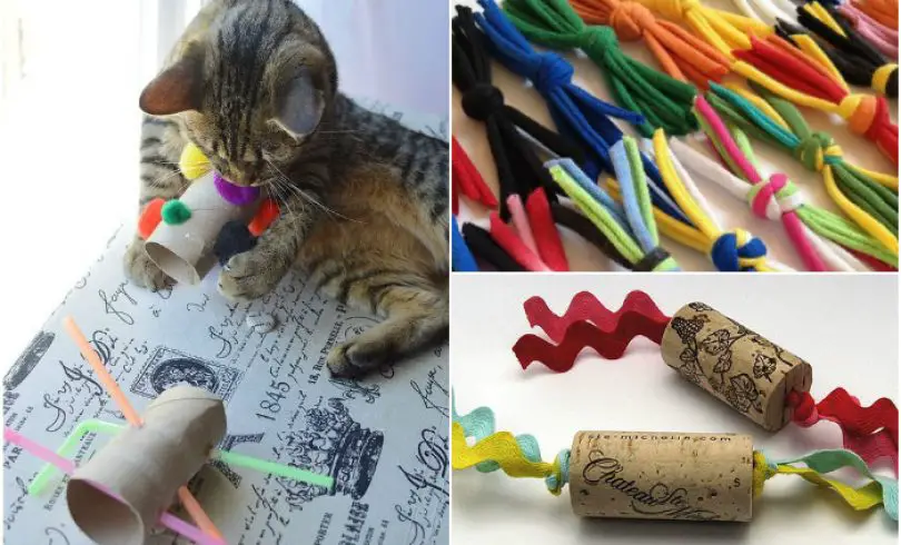 13 juguetes para gatos hechos en casa
