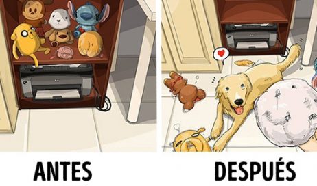 9 comics sobre cómo es la vida antes y después de tener un perro