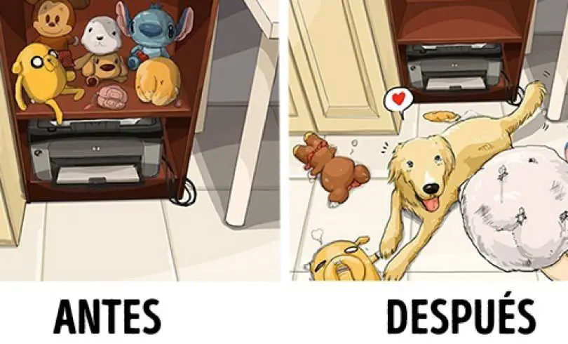 9 comics sobre cómo es la vida antes y después de tener un perro