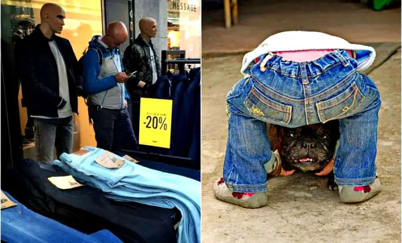 17 divertidas fotos que tendrás que ver dos veces para entender