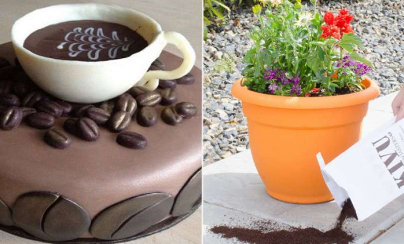 15 maneras inusuales de usar café molido que seguro no sabías