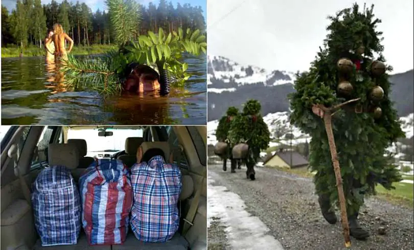 17 fotos divertidas del arte del camuflaje