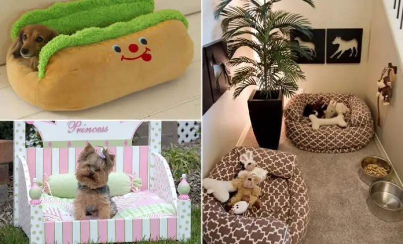 Camas modernas que harán feliz a tu perro