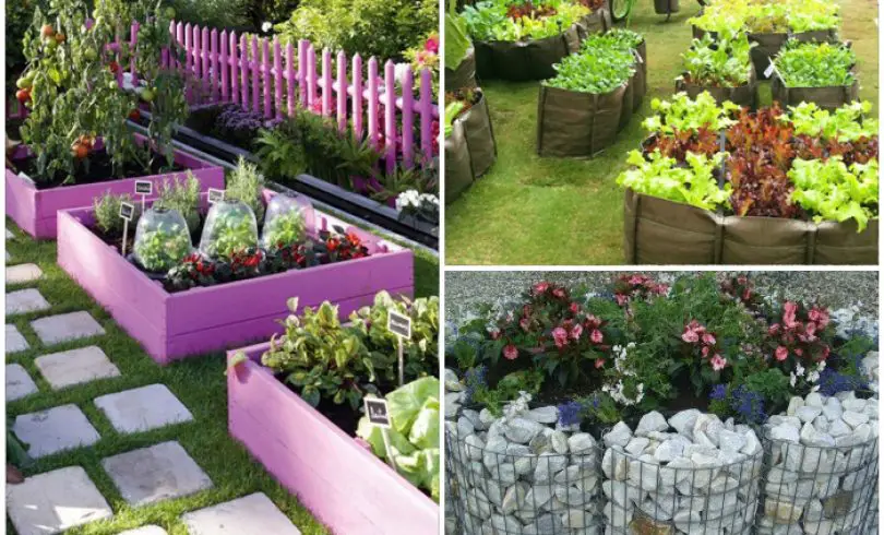 15 ideas brillantes para decorar el jardín con macizos de flores