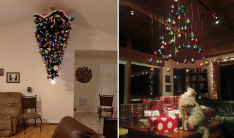 Protege tu Árbol de Navidad de Gatos y Perros con estas Valiosas